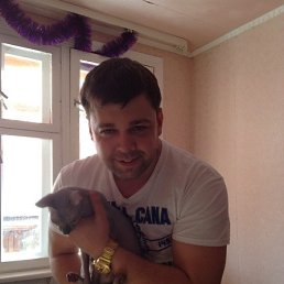 ������, 39 ���, �����������