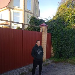 ���������, �����, 40 ���