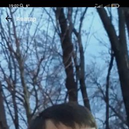 , 33, 