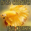 ���� ������, ����������� - ��������� 25 ������� 2024