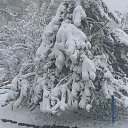 ���� �������, ����� - ��������� 26 ������ 2025 � ������ ���� ����������