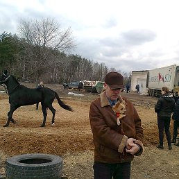 �����, ���������, 61 ���