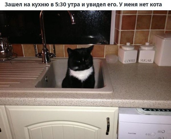 8 �������, ����� ���� ������, ��� � ��� ��� ����, �� ��� �� ��... - 4
