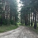 ���� �������, ������ - ��������� 8 ������� 2026 � ������ ���� ����������