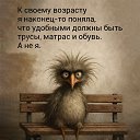 ���� ���������, ��������, 52 ���� - ��������� 9 ������� 2026 � ������ ���� ����������