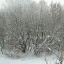 ���� ������, �������, 68 ��� - ��������� 19 ������ 2026 � ������ ������ ��������