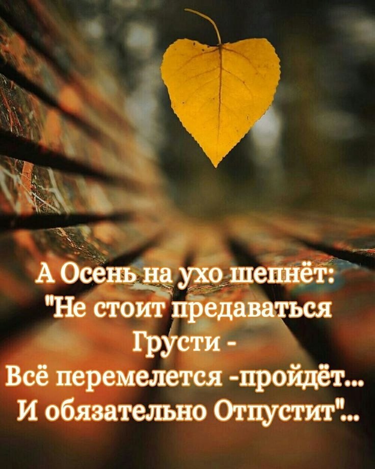   ,    . - 16  2025  20:21