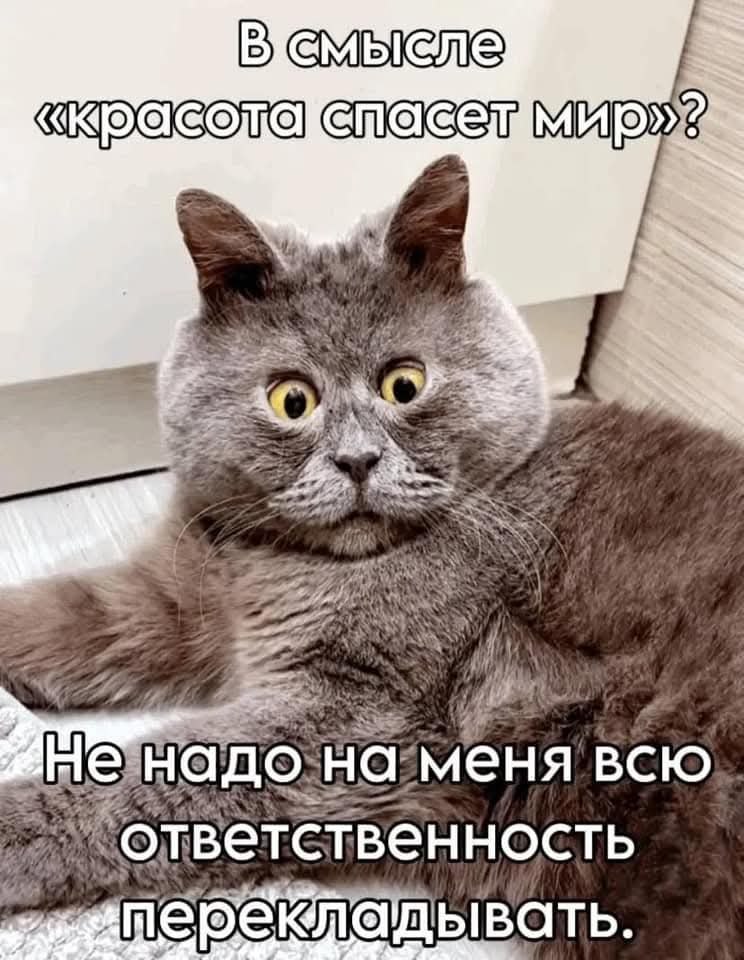   - 16  2025  13:08