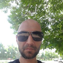 , 34, 