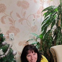 ������, ������, 41 ���