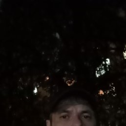 , 45, 