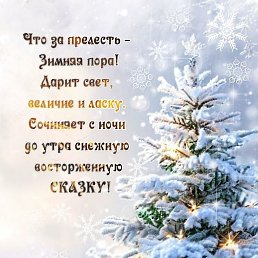 ���� ������, �����, 56 ��� - ��������� 18 ������� 2025