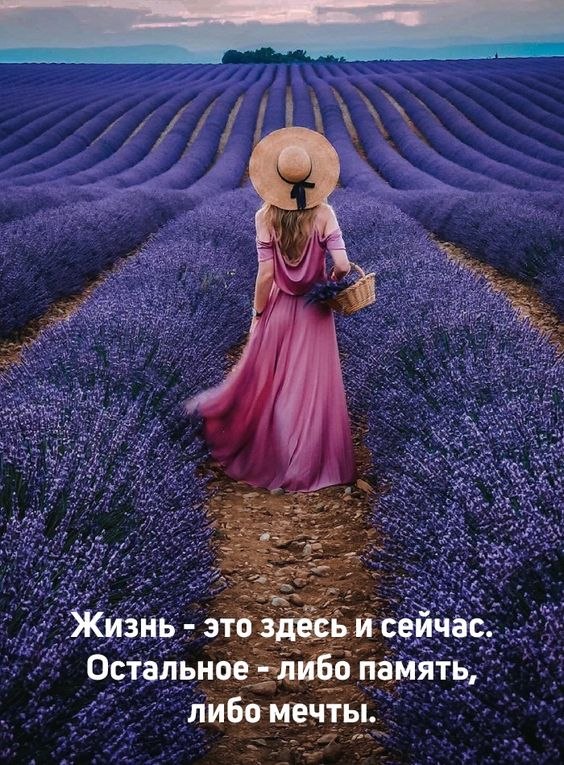 ₪╬═►  ||  ||  ◄═╬₪ - 19  2024  04:23