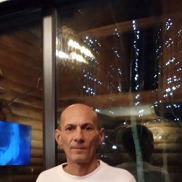 , 53 , 