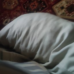 Den, ����, 25 ���