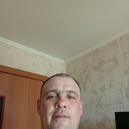 , 41, 