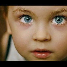 ���� �������, ������, 20 ��� - ��������� 16 ������ 2023