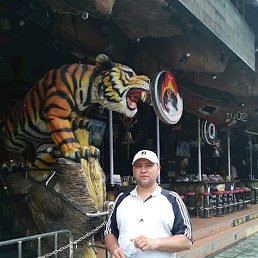 ���� ����, ��������� - ��������� 15 ��� 2025