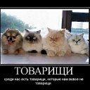 ���� ���������, ������ - ��������� 14 ������� 2026 � ������ ������