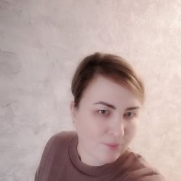 ���� ����, ���������, 41 ��� - ��������� 31 ������ 2026