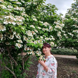 , 53, 