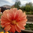 ���� ������, ���������, 74 ���� - ��������� 15 ������� 2026 � ������ ���� ����������