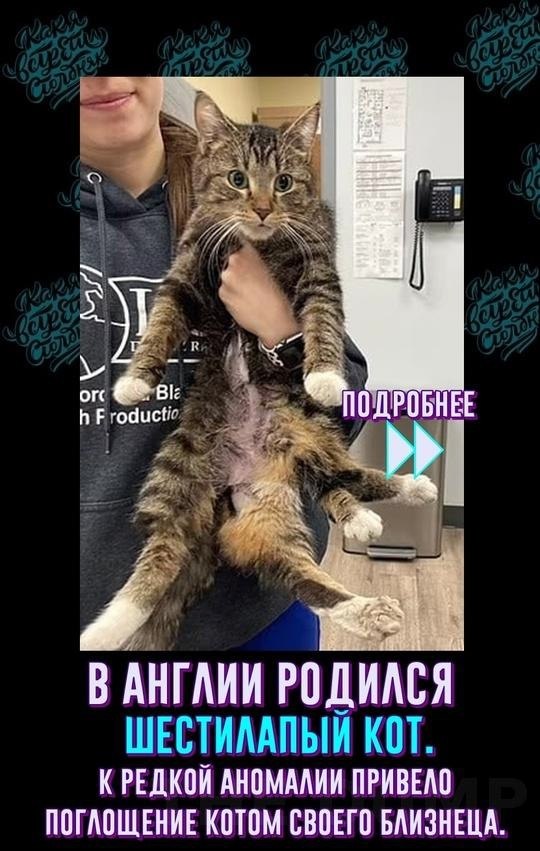 A e c ec aa a o oa ye ee oe. aoe, oce peype, ec o ...