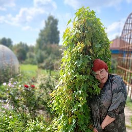 ������ ��������, �����������, 59 ���