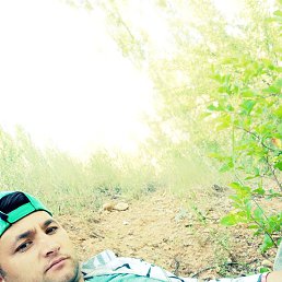 , 29, 