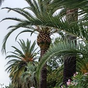 ��������, 60 ���, ������������