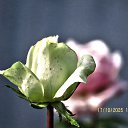 ���� ������, ��������� - ��������� 17 ������� 2025 � ������ ������ �� �����