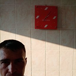 , 41, 