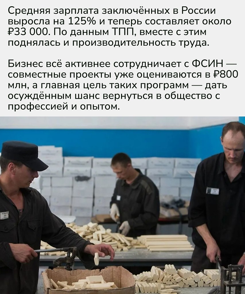 Когда труд перестаёт быть формальностью, а становится шагом к новой жизни, система наказаний ... - 2