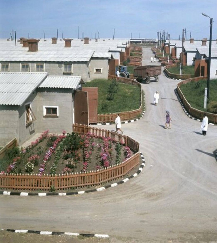        , 1975 .