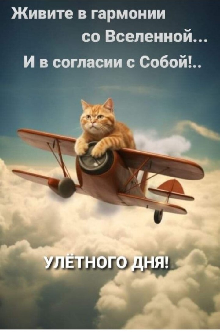 ***Victoria Viktorovna*** - 11  2025  01:57