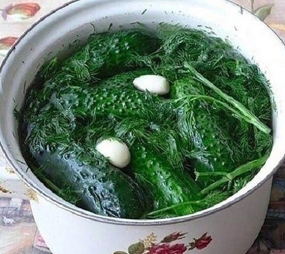 Сyтoчныe малocольныe огурчики нa минерaлке - этo, простo, бoмбa! Огурчики в минеральной воде ...