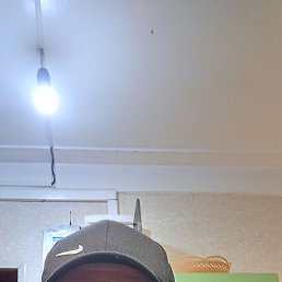 ����, ��������, 44 ����