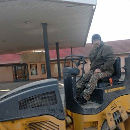 , 44, 