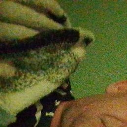 ����, ����, 46 ���