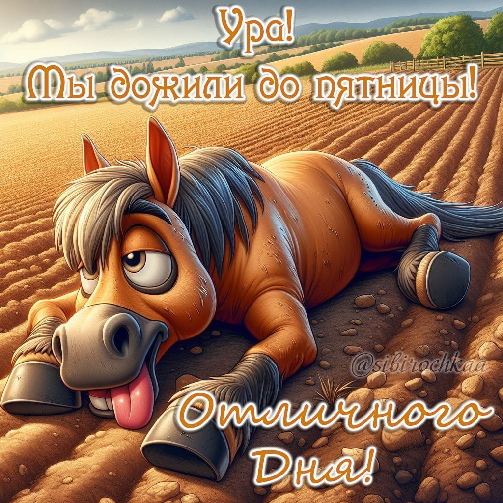   ,    . - 22  2025  13:36 - 4