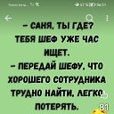 ���� �������, ����-������ - ��������� 8 ������� 2026 � ������ ���� ����������
