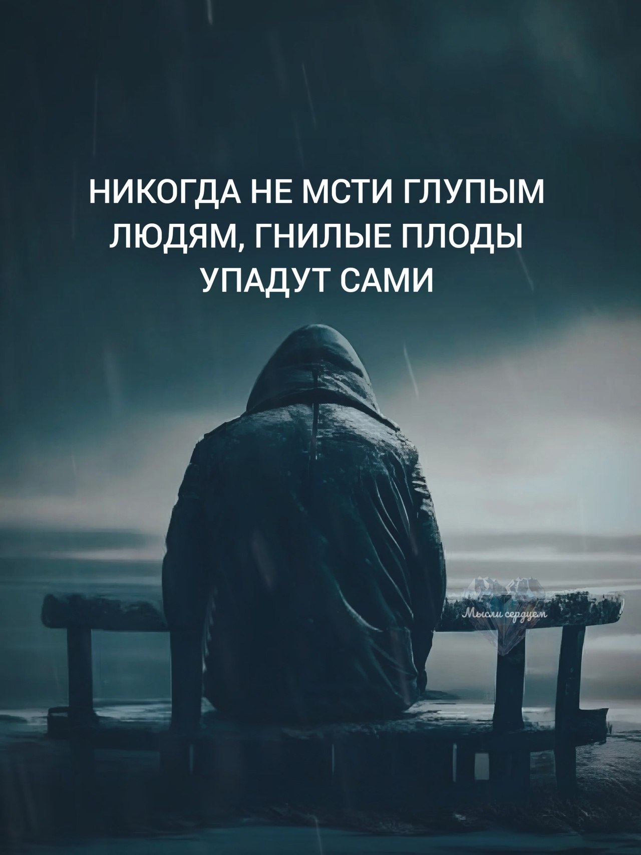  - 11  2025  16:57