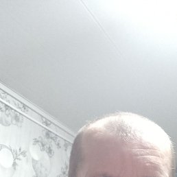 ������, ������, 48 ���