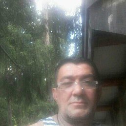 , 58 , 