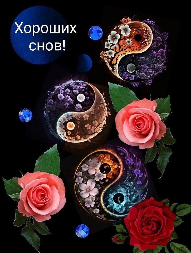   ,    . - 9  2024  21:33 - 2