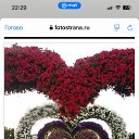 ���� ����� ���, ������, 60 ��� - ��������� 10 �������� 2025 � ������ ���� ����������
