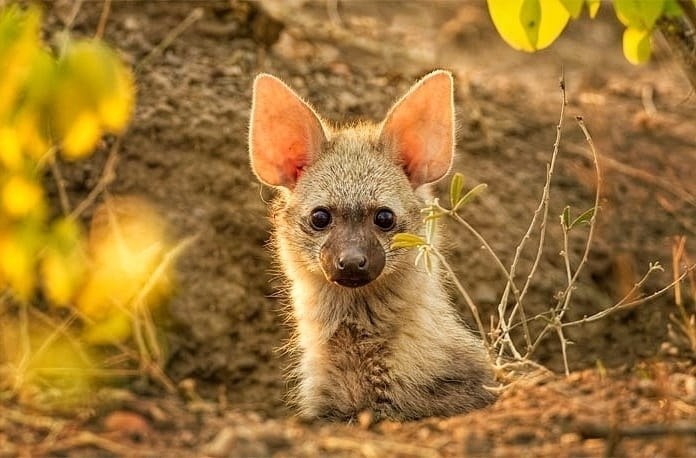 eo o pae  ceec eo. ee e opoae p o pa o. ... - 5