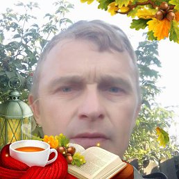 , 41, 