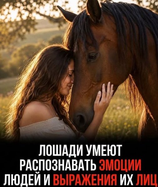 :) - 4