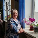 ���� ����� ������, ���������, 54 ���� - ��������� 6 ������� 2026 � ������ ���� ����������